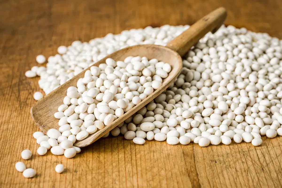 Heaping scoop of navy beans on a wooden spoon over a rustic table