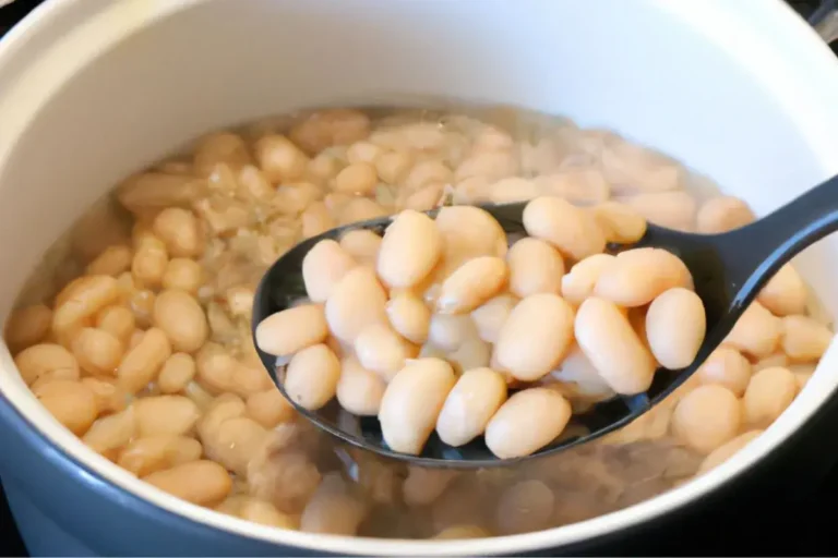 Spoonful of cooked navy beans being lifted from a pot