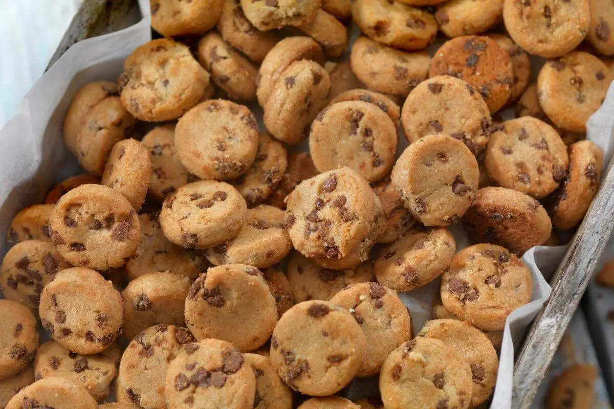 Basket of fresh mini chocolate chip cookies.