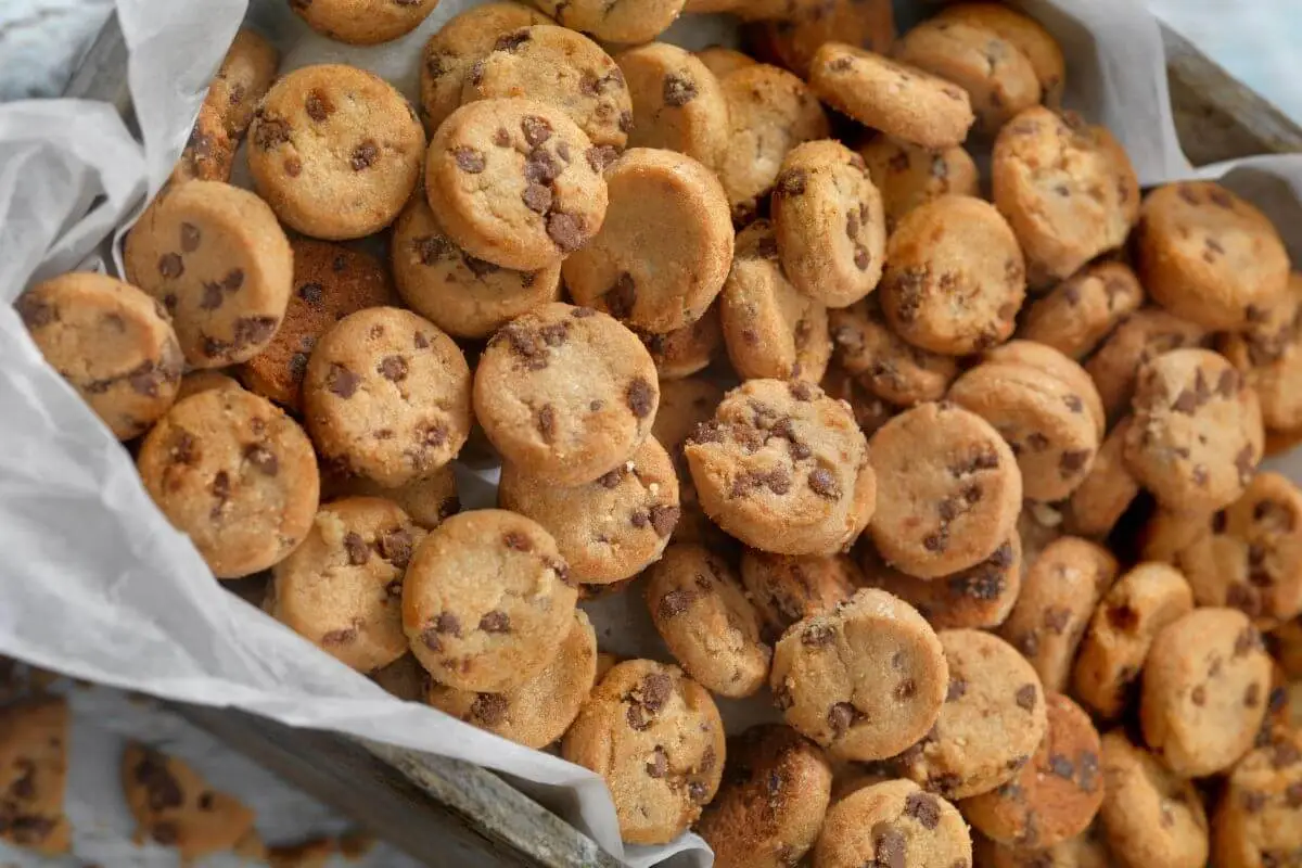 Pile of mini chocolate chip cookies from a recipe.