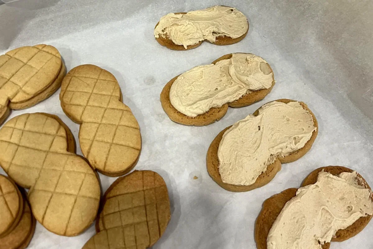 Homemade peanut butter sandwich cookies.