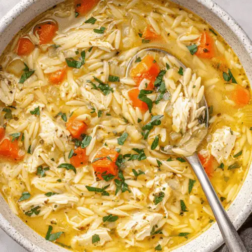 Chicken Orzo Soup Recipe