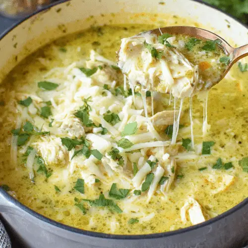 Crock Pot Green Enchilada Chicken Soup Recipe