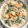 Easy Rotisserie Chicken Gnocchi Soup Recipe