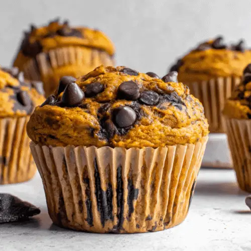 Pumpkin Chocolate Chip Muffins Recipe