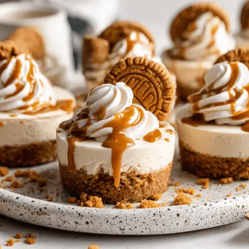 Biscoff Cheesecake Bites Recipe
