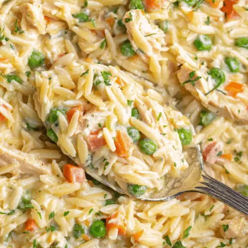 Cozy Chicken Pot Pie Orzo Recipe