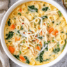 Creamy Chicken Pasta Soup Recipe