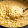 Mac And Cheese Soup Recipe