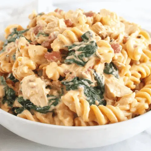 Instant Pot Crack Chicken Pasta Recipe